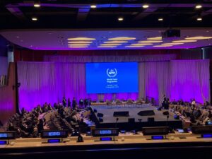 ArcDH Participates in UN ECOSOC Special Meeting in New York on AI and Sustainable Development